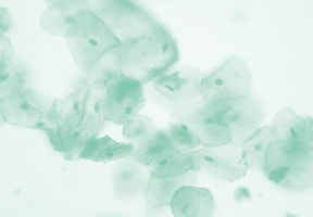 Antech Science Cells 2
