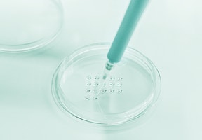 Antech Science PetriDish 3