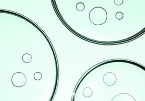 Antech Science PetriDish 4