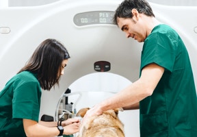 Antech Thriving Practice 3