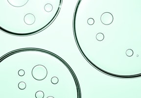 Antech Thriving Practice