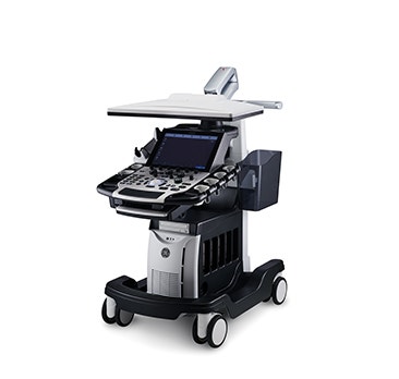 image LOGIQ%20Fortis%20Vet_secondary_4